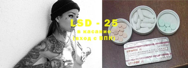 ГАЛЛЮЦИНОГЕННЫЕ ГРИБЫ Арсеньев