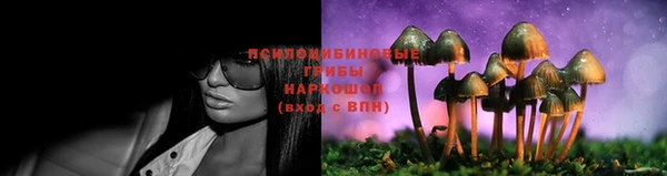 бошки Алзамай