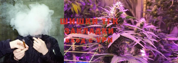 ГАЛЛЮЦИНОГЕННЫЕ ГРИБЫ Арсеньев