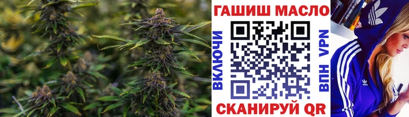 наркотики  Курган  ТГК THC oil 