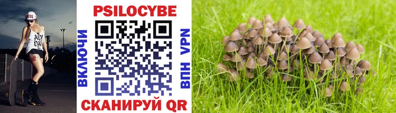 дарк нет телеграм  Курган  Галлюциногенные грибы Cubensis  купить закладку 