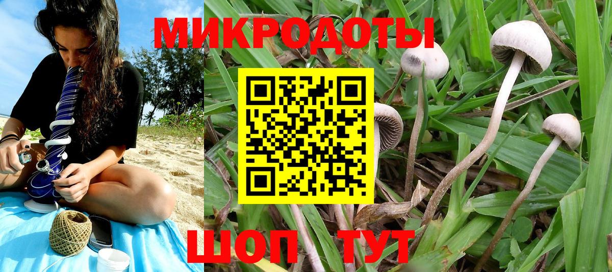 Галлюциногенные грибы мицелий  Псилоцибиновые грибы Cubensis  Вход с VPN  Курган 