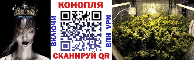 Каннабис конопля  МЕГА зеркало  Курган 